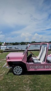 1.2K views · 18 reactions | We are having SO much fun with Wild Destin / Wild Charters! Come hang with us! 便 #thegulf #okaloosaisland #vacation #florida #seafood #restaurant #sundayfunday sunday | The Gulf Restaurant on Okaloosa Island | Facebook