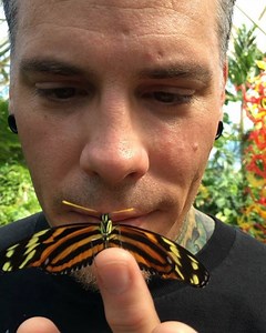 1.6K views · 86 reactions | Butterflies do not smell like butter...  #botanicalgardens #franklinparkconservatory #butterfly | Durb Morrison | Facebook