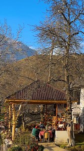 Tender Buffalo Milk Cheese! Life and cooking in a Dream village #milk #buffalo #cheese #village | Sweet Village