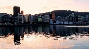 Wellington Port Harbor Sky Scrapers Wellington: Video có sẵn (100% miễn phí bản quyền) 1034446952 | Shutterstock