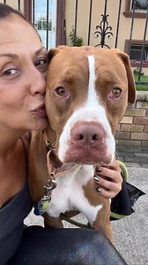 It’s true. I always have to steal my kisses from Beanie Baby😆 But as you can see, he tolerates all of the smoochies! 💋 Bean, BB, Da Beebs, Bean Sprout, Da Beebs… He’s got quite a few nicknames by staff and he loves all of them! This dog is happiest entertaining himself with his jolly ball, he is one of the most independent dogs I have ever seen! Bean is a pandemic dog, meaning he was adopted during the pandemic as a puppy and was not properly socialized with strangers, so it takes him a minute