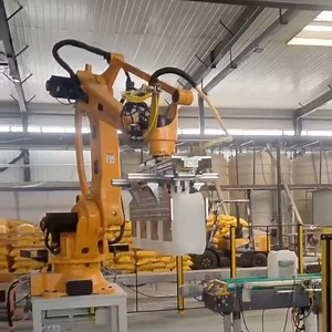 [Hot Item] Palletizing Robot for Food and Beverage Products