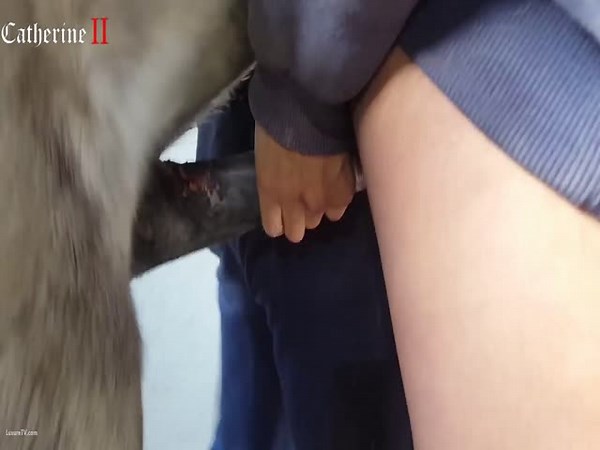 Horse creampie