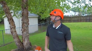 No one can hurt your feelings without your consent. No one can make a fool of you without your consent. No one can embarrass you without your consent. . Trimming a bitch tree while listening to an audiobook. . My chainsaw broke down. 🤦‍♂️🤦‍♂️ . . . #landscaping #landscapingbusiness #landscapingequipment #landscapinglife #businesstips #businessmindset #servicebusiness #thelandscapingunemploymenttrap #landscapingquotes #lawncare #treetrimming #birchtree #motivational #audiobook #chainsaw #landsc