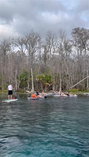 Kayaking at Florida Springs #kayaking #springs #florida #nature #wildlife #silversprings #beauty