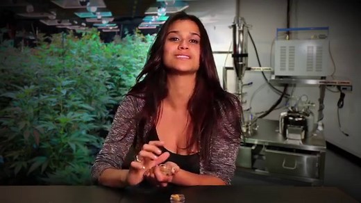 What Is 'Shatter' Weed and Is It the Future of Marijuana?