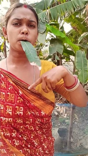 Hai ông cháu thử thách IQ370 đánh đàn sẽ ra🤪🌿