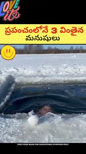 The Fact Story on Reels