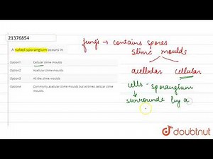 A naked sporangium occurs in