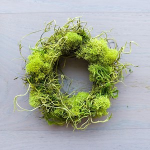 Mini Moss Wreaths – Rustic Spring Candle Ring Set, Grapevine Bridal Shower Favors, Preserved Greenery Cottagecore Decor - Etsy