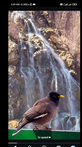 2.8K views · 34 reactions | भगवान् के द्वारा बनाया गया हर प्राणी अपने आप में सर्वश्रेष्ठ है.. | Vijay Kumar Bhatt | Facebook