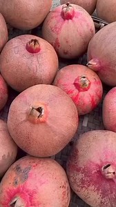 Pura pura bodoh misalnya 😂 | Nabila Shr