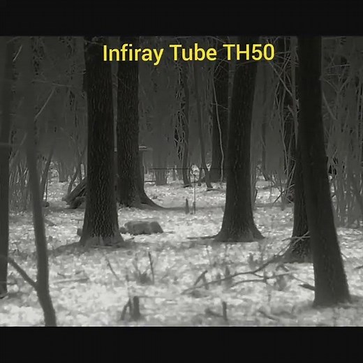 Infiray Tube TH50