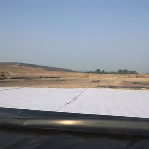 [Hot Item] Waterproof Pond Liner HDPE Membrane