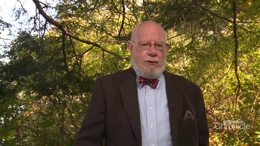 Fritz Wetherbee: Binky and the Smell