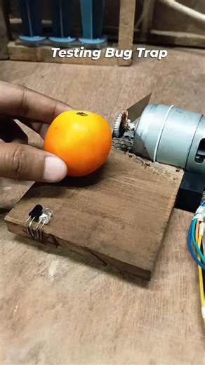 Mouse trap testing with innocent tomato | dc motor bug trap #engineering #trap #mouse #viral #electronics #science #dcmotor #funny #trap | Science & Engineering