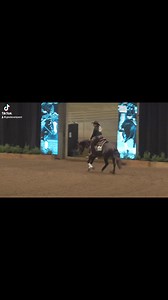 213,5 for CHASIN TRASHY GIRLS in the Open Futurity 🖤 for owner Hillbillies Partners #greininghorses | G Reining Horses