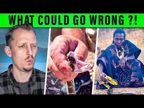 Zoologist Reacts to CRAZY Venomous Snake TikToks!