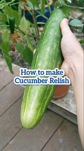 1.4K views · 225 reactions | How to Make Cucumber Relish #easyrecipe #cucumber #vegetables #food #cooking #homemade | Ever Alonzo | Facebook