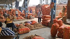 June 18, 2025 दिल्ली 🥔 आलू के भाव Azadpur Delhi mandi today Potato Market price #azadpurpotatomarket | Delhi Fruit Market
