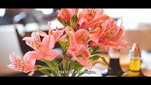 En #Tlalpan impulsamos el turismo, porque genera empleos y a su vez nuestro desarrollo económico. Por eso continuaremos apoyando a los comercios. Hoy te recomiendo el rinconcito Italiano de #Tlalpan, el Dolce Amore, yo soy fan de su pasta 🍝 y su tiramisú 🍮 ¡Visítalo! | Alfa González