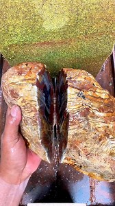 1K views · 647 reactions | This cut reveals the natural interior of multicolor petrified wood. Ancient wood grain preserved through mineral replacement, showing layered colors and strong natural contrast formed over time. 勞 #MulticolorPetrifiedWood #PetrifiedWood #StoneCutting #LapidaryArt #FossilWood | Yazid Ikhsani | Facebook