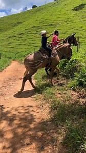 644K views · 3.1K reactions | Aqui é raiz... @paulalinharesestetica.beleza | Pecuária Brasil | Facebook