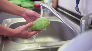 Woman Hands Washing Fresh Green Chayote Stock Footage Video (100% Royalty-free) 3526784561 | Shutterstock