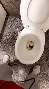 Shit farming from toilet