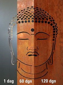 [Hot Item] Decorative Corten Steel Sheet Metal Privacy Fence Panel