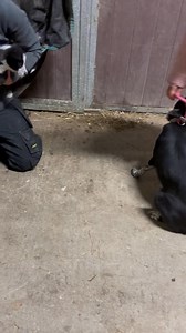 136K views · 2.7K reactions | What do you think my army? We think...