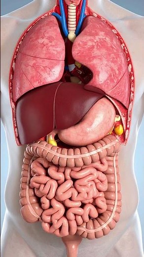 Top Doctor Reveals SHOCKING Causes of Leg Swelling