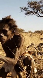 Watch as early humans navigate and interact with their environment on the savanna. See how they adapt and thrive in the wild. #EarlyHumans #SavannaLife #HumanEvolution #Paleolithic #AncientHistory | Sapien Cinema