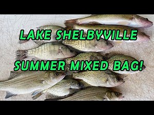 Lake Shelbyville Summer fishing - mixed bag!