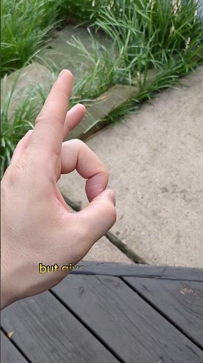 A Finger Flick Moves Faster Than The Speed of Sound #science #physics #flyswatter