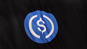 Usdc Usd Coin Icon Logo On Black Flag Loop Stock Motion Graphics SBV-347720107 - Storyblocks