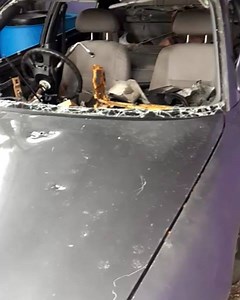 A Bajan Woman did this ????? | Babbzy At Large