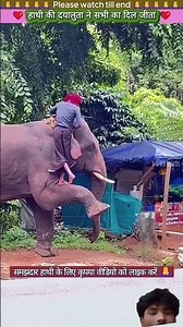 हाथी की दयालुता 🐘😱#elephant #animals #shorts