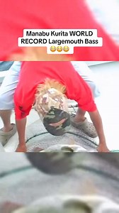 2.9K views | Have bull sharks finally made it to the great lakes? #sharks #shark #fishing #fish | Fishing World | Facebook