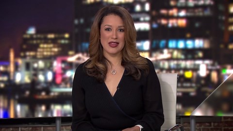 Pit Bull ban lifted in Prince George’s County, prompting surge of shelter adoptions