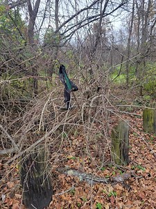 4.4K views · 30 reactions | 217 PANTY DROPPER: “What can I say deer hunting is a real panty dropper 若” Moultrie county public parking area Thanks Andre! | 217 Problems | Facebook