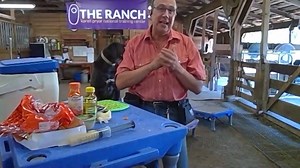 2.4K views · 46 reactions | Don't wait until your animals need...