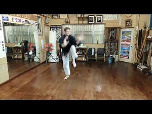 Uechi Ryu Karate Do - Sanseiryu