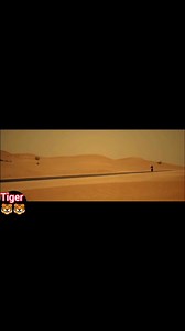 😍The king of salman khan, salman khan, ajay devgan, akshay kumar, ranveer singh, movie, Bollywood, #everyoneシ゚ #TigerZindaHai #salmankhanworldwidefans #salmankhangoldenheart #salmankhanno #salmankhanmerijaan #salmankhansmile #Nadeemkhan #dabangg #salmankhanturkey #salmankhan #ajaydevgan #akshaykumar #ranvirsingh #movies #bollywood #public #highlights #publicpost #bollywoodmovies | Indian Tiger