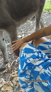 Danubia Salles on Reels