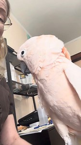 4.9K views · 149 reactions |  Ever had a 'serious' conversation...