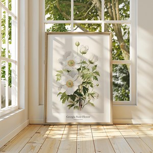 Cherokee Rose Art Print: Georgia State Flower, Botanical Wall Decor