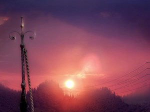 32 reactions | Sunset Bloo. | Cartoon Network City | Facebook