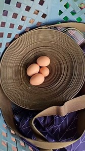 We had a few visitors on the farm & there were presents all round. 🤣🐕 | Rob's Aquaponics & Backyard Farm