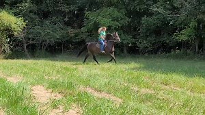 A Step Above Stables on Reels | Facebook